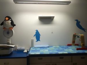 Angelika-Gottschlich-Arztzimmer-Kleinkinder